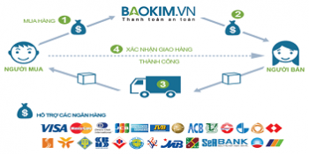 Thanh toán trực tuyến